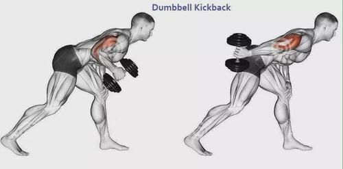 弯杆|最全的肱二三头肌训练图解,漂亮手臂必备!