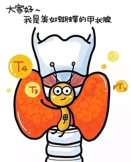 甲状腺|孩子发育延迟,智力低下......小心甲减在作怪!