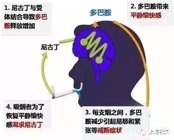 吸烟是病吗？如何戒？听听松江医生怎么说→