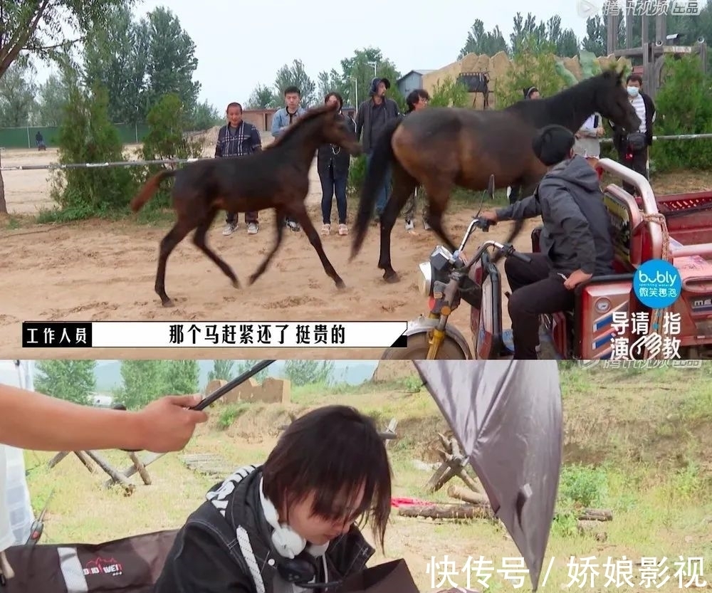 导演制片人影评人扯起头花来,比明星撕X还好看?