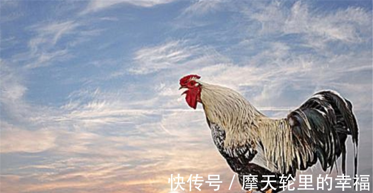 古人#古人言一更人、二更火、三更鬼、四更贼、五更鸡,是什么意思!