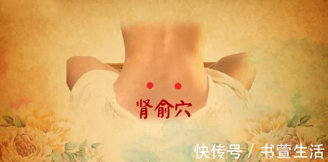 肾脏|身上有个“补肾开关”,简单按一按,疏通经络、补足肾气!