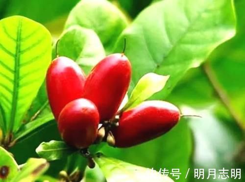 打鼾|十个有趣的冷知识,奇怪的知识又增加了