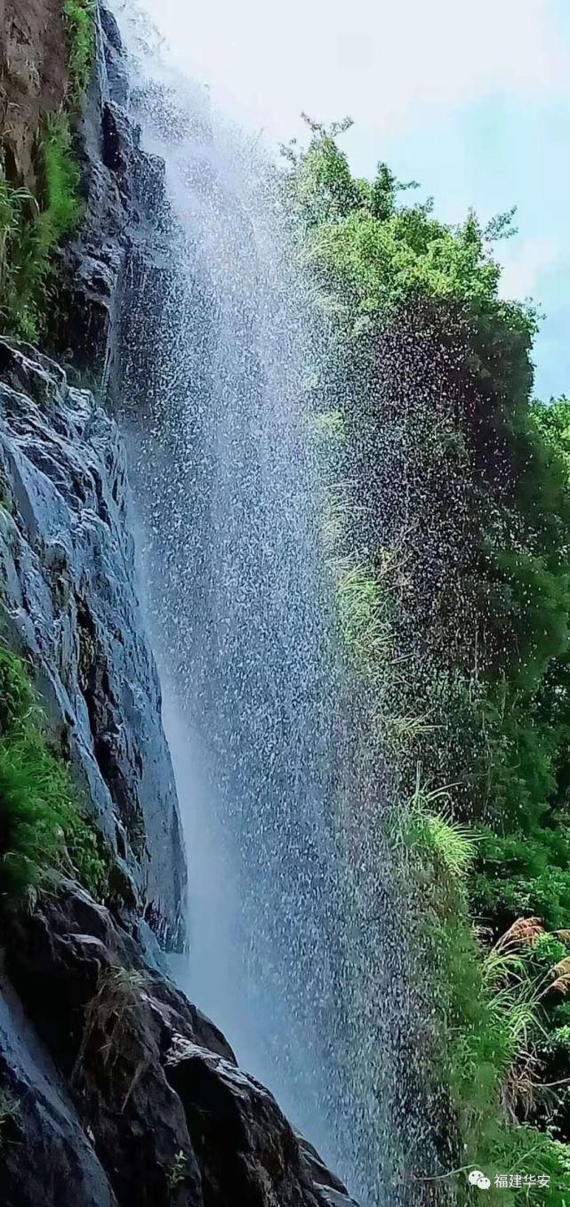 春暖花开踏春去