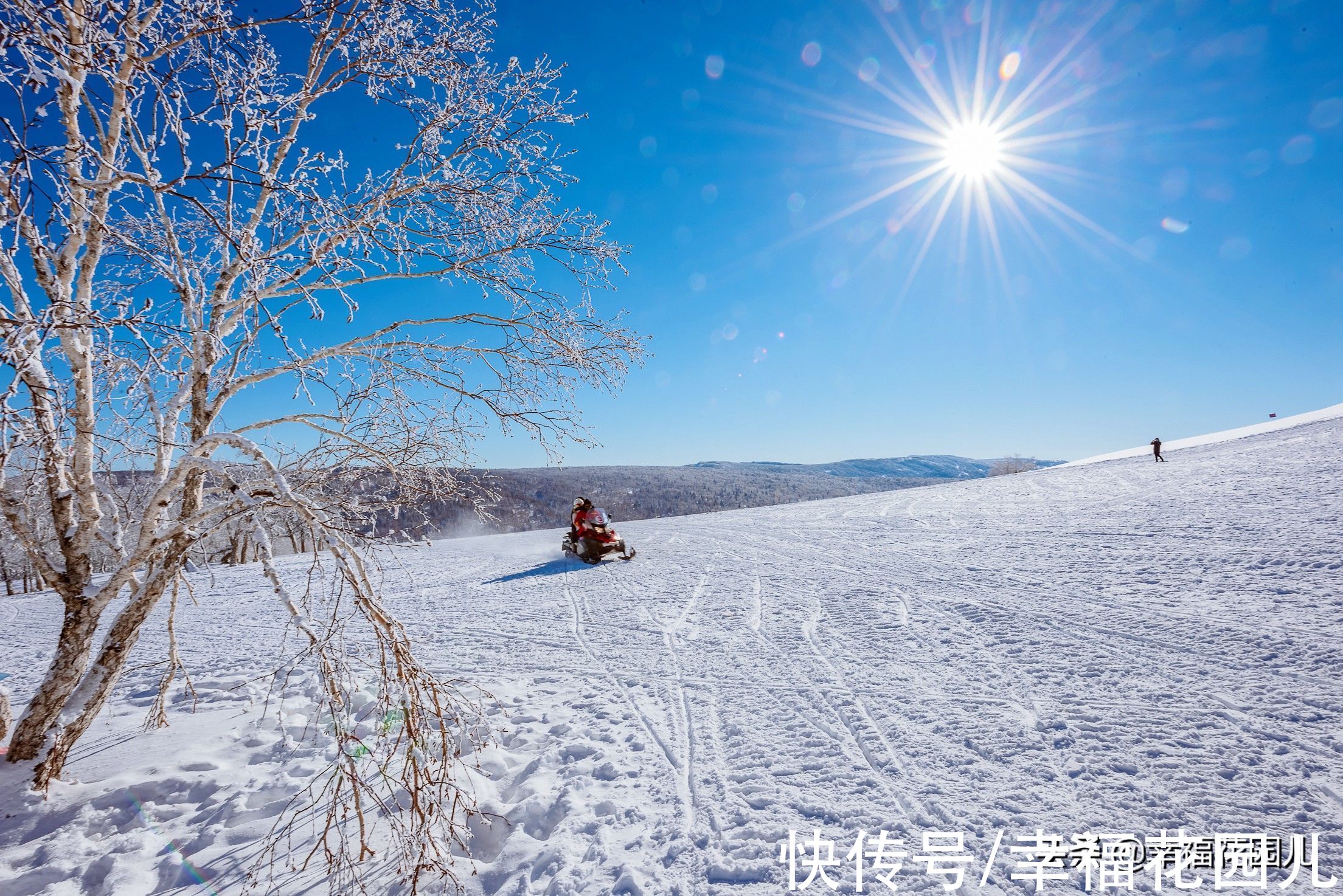 老桥|赏冰、玩雪、看美景，找回儿时过年的味道，就在非常冰雪黑龙江