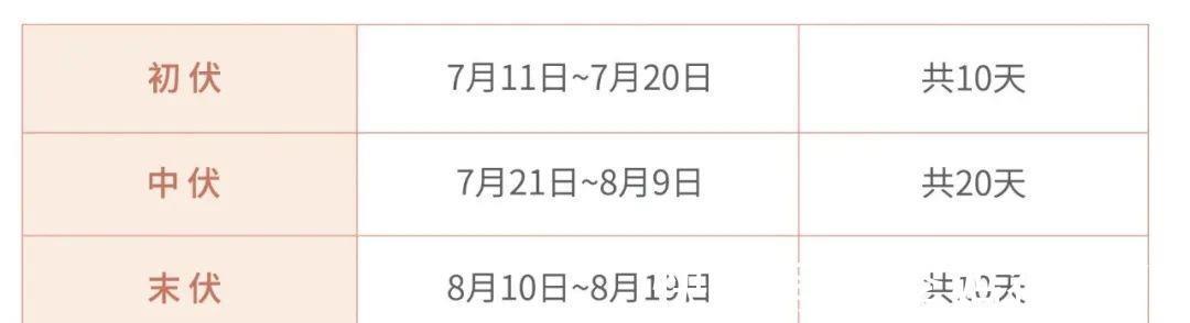 寒性体质|三伏，一年一次彻底排寒的机会