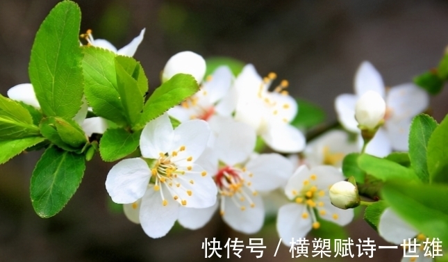 新事物|步入11月,4个星座,温暖贴心,照顾伴侣,爱情顺风顺水