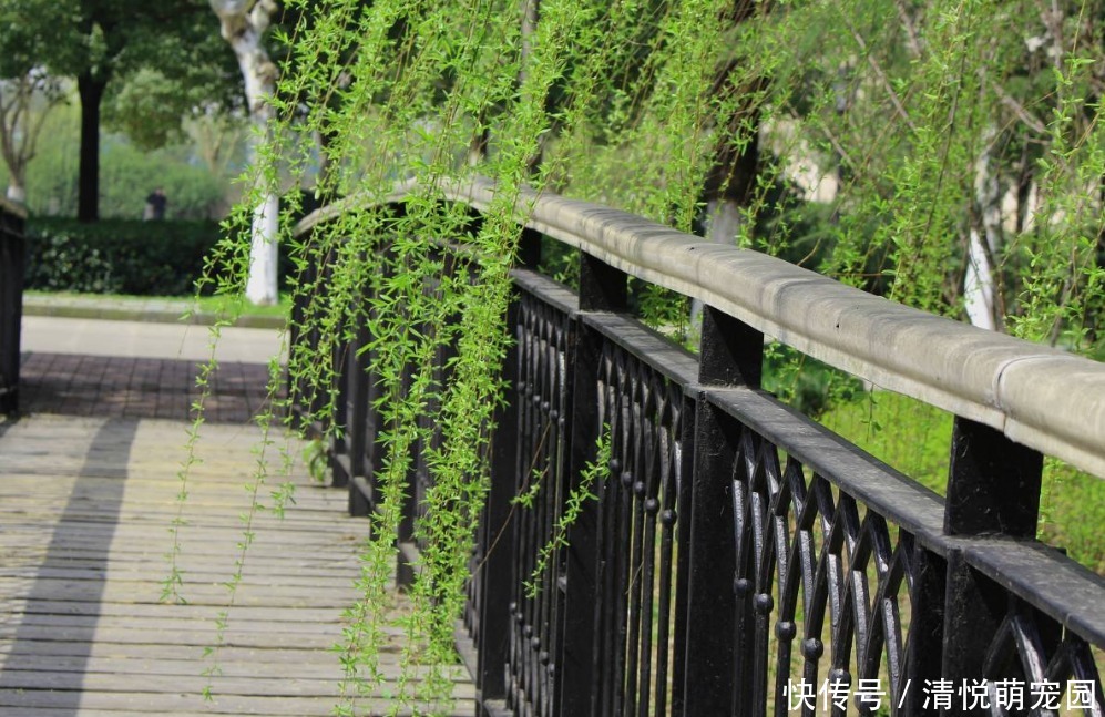 山河|老和尚摔下毛驴悟出首诗，小和尚读完也写一首，都流传了900多年