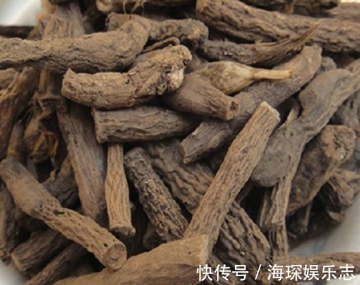 提高免疫力|十个男人九腰疼，推荐农村一种野菜，补肾腰不酸，祛湿肠胃好！