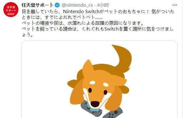 任天堂|任天堂：宠物会毁坏switch，是时候让喵喵尝试一下卡带的滋味了！