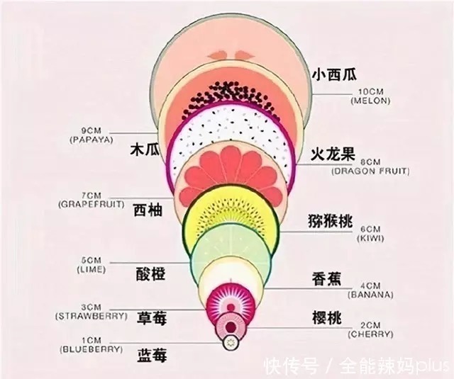 孕妈|孕妈顺产时，“开十指”宫口到底开多大？一张水果平面图让人震撼