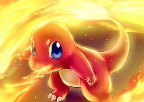 假如你穿越到神奇宝贝世界,你会选择哪只御家神奇宝贝一起旅游