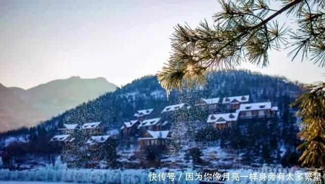 步行街|美翻!淄博还有这么一个“小而美”的地方,等你去发现!