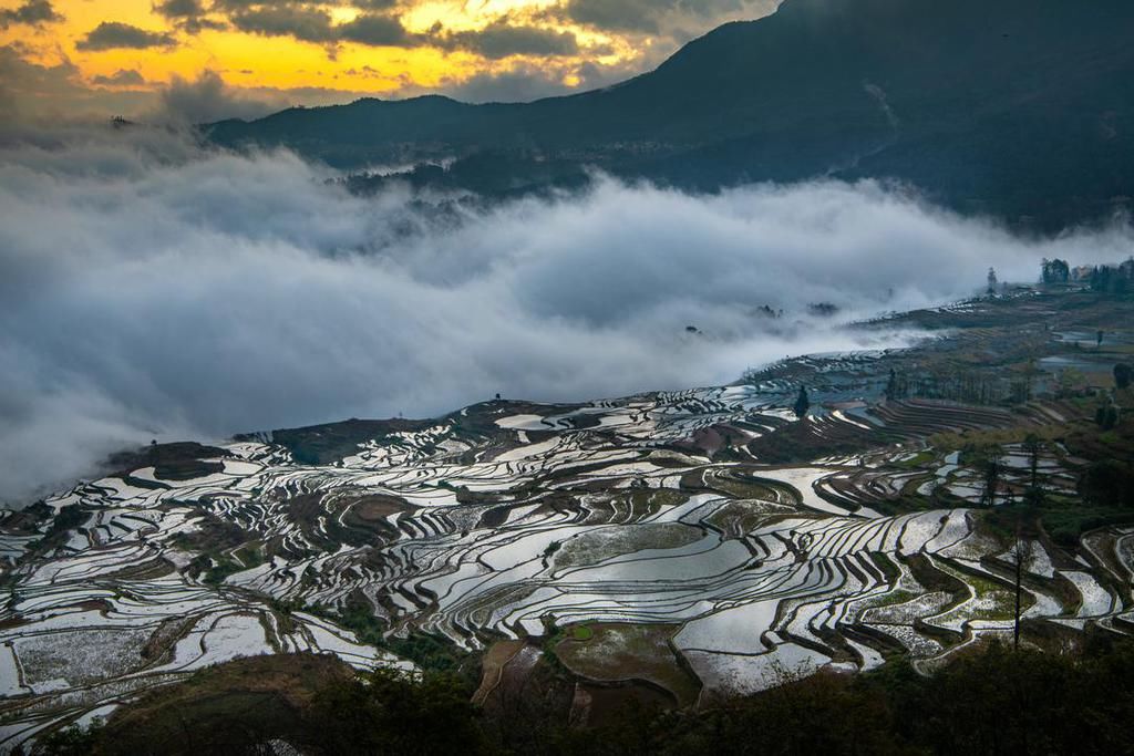 壮美元阳梯田，哈尼族人的大地艺术杰作