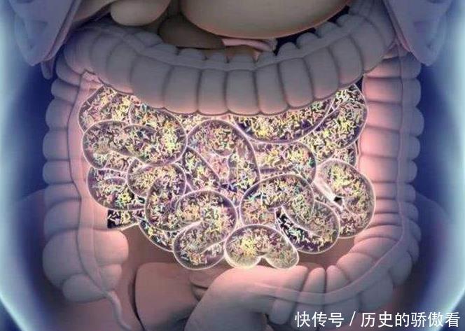  种天然|肠胃紊乱总是便秘，常吃2种天然“泻药”食物，能够润肠通道