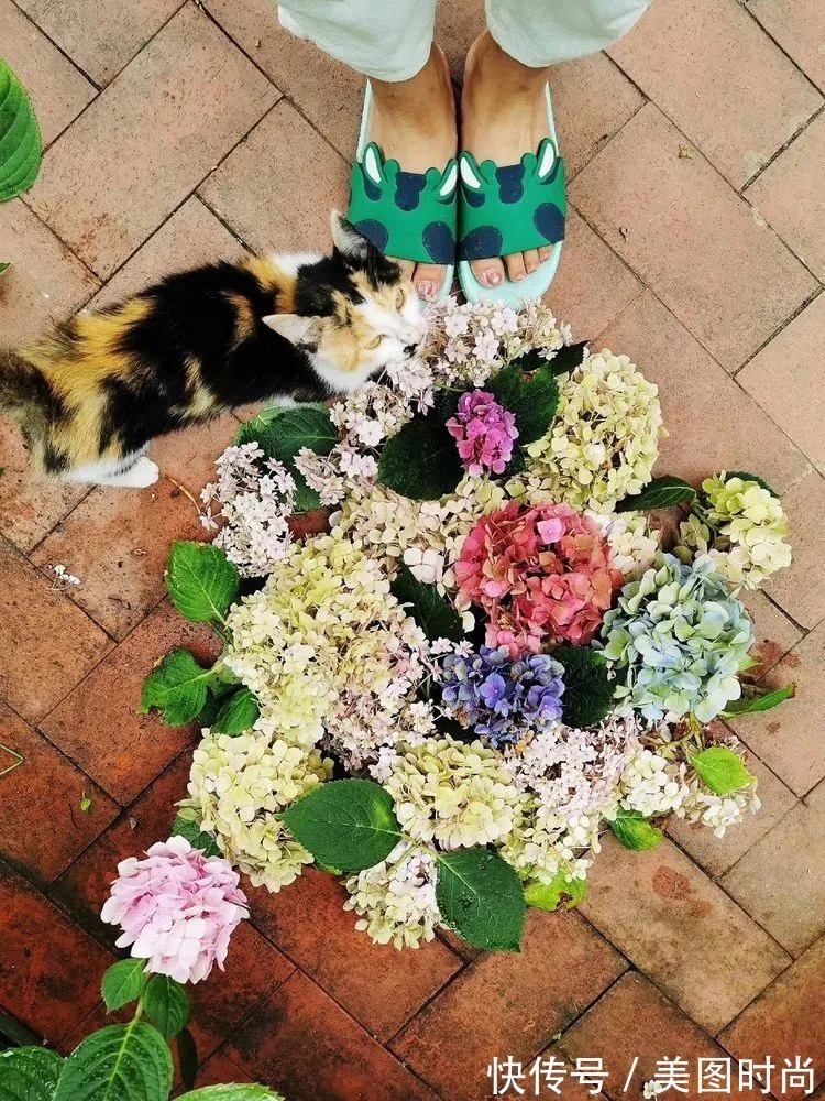 薇月|四年前，接手了朋友带120㎡院子的房子，打造成花园后朋友羡慕了