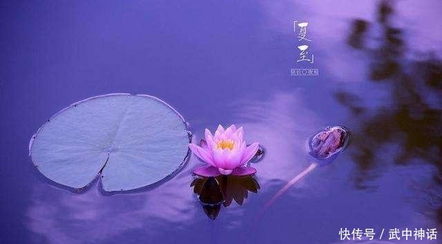 本是青灯不归客,却因浊酒留风尘,十首禅意诗,十种人生大境界!