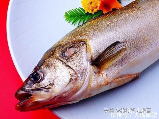 发育|怀孕后要多吃这6种食物，对胎儿的大脑发育特别有好处！