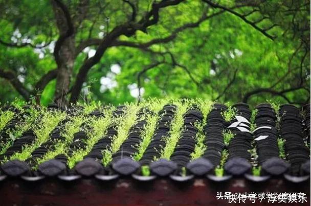 拂逆境,从容心,一种难得的境界