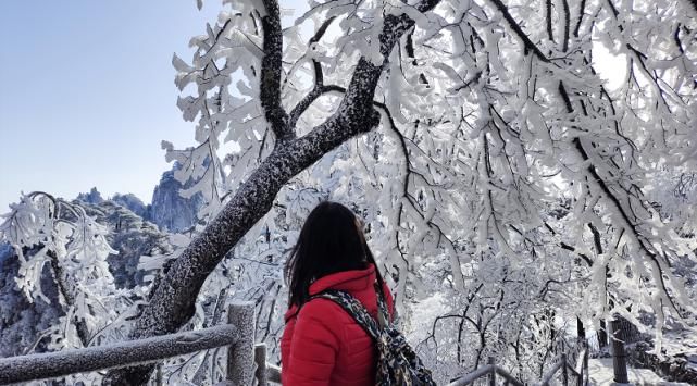 老年|黄山风景区又双叒叕降雪啦！绝美雾凇不容错过