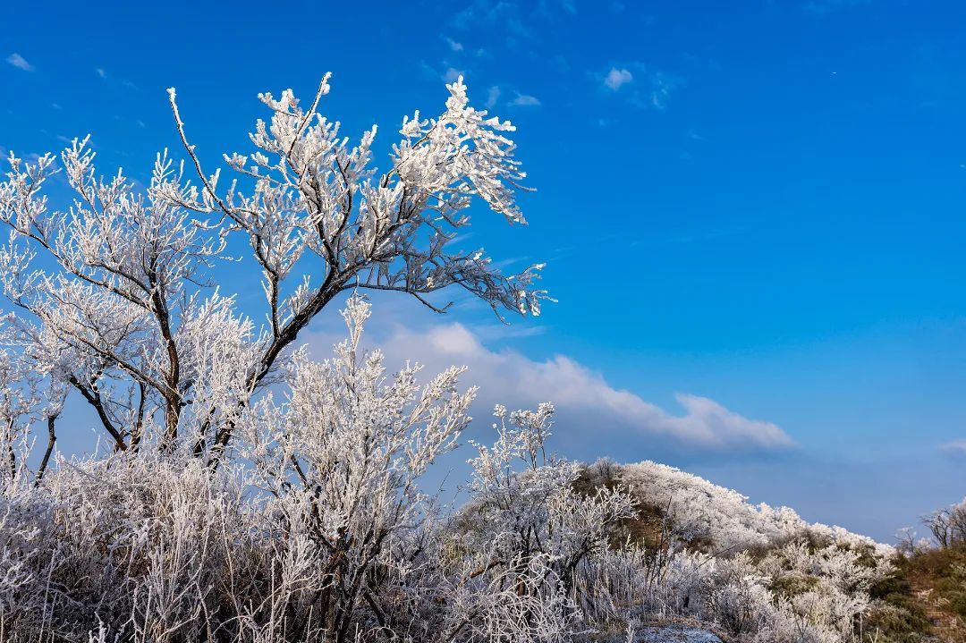 花雪|冬天一定要去余杭百丈平天堂看雪！