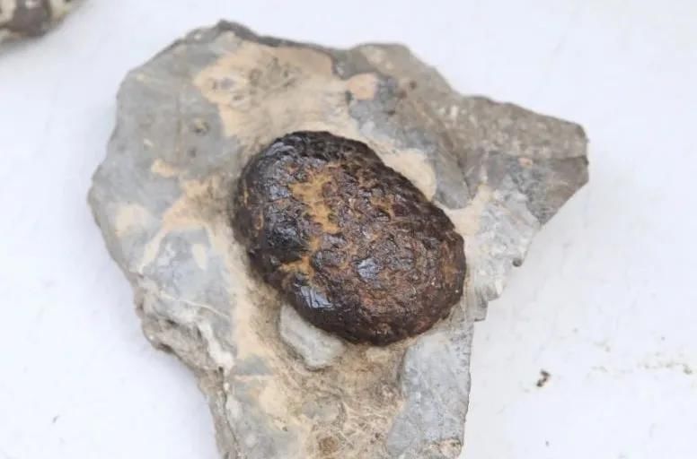  陨石|“群星”在故都闪耀——第四届临淄齐国商城陨石展