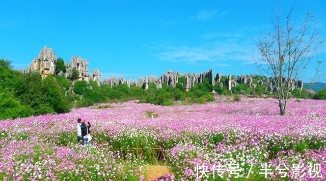 石林|云南有一景区，曾是《三国演义》的外景地，藏有罕见的卡斯特地貌