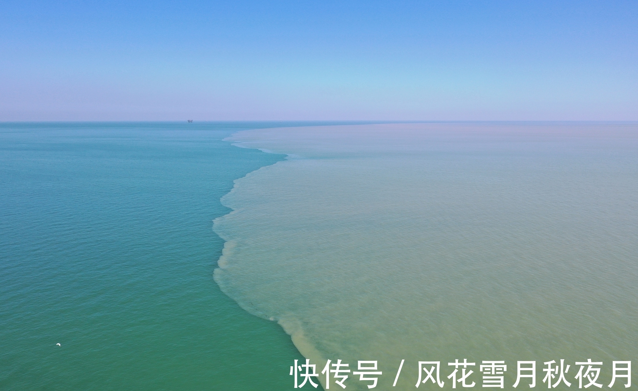 杨柳!成为中国第一绝句,王之涣《凉州词》,因为被人改了两个字?