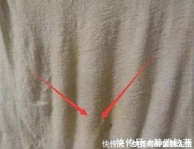 小窍门|毛巾用久了又滑又臭？教你一个小窍门，毛巾马上和新的一模一样