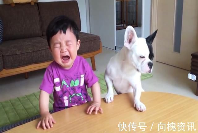 小宝宝|“婴儿一哭,宝妈叹气”,专家:爱哭的娃更聪明,要及时抱起来哄