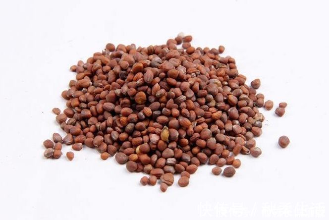 生白芍|脾好人长寿1粥1穴,健脾胃、养脾阴、祛胃火,帮你滋养长寿根本