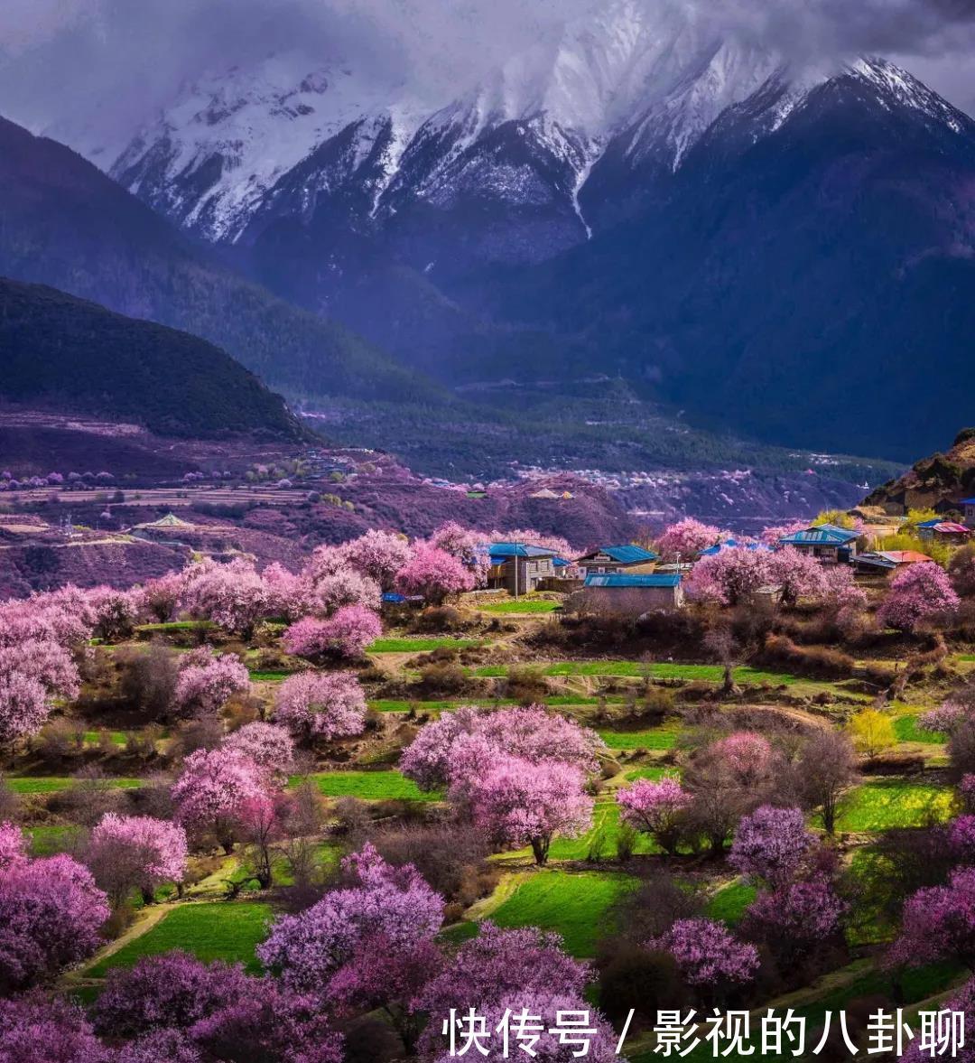 西藏|林芝桃花，开得肆意又浪漫，忽然就想去西藏了！