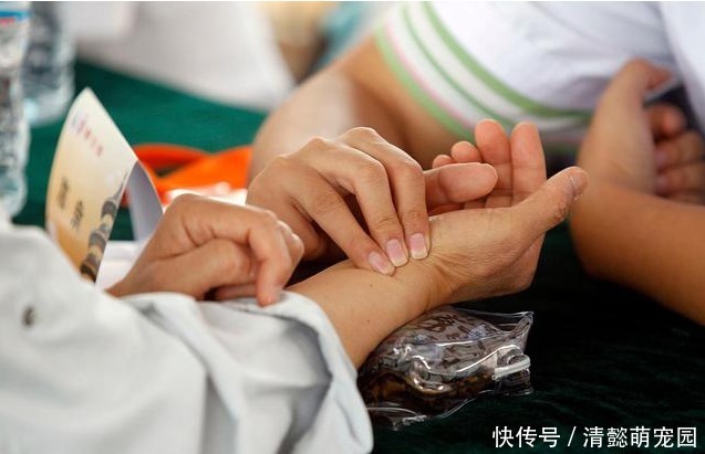 “三甜”伤肝,尽量少吃,“二苦”养肝,最好多吃,务必牢记在心