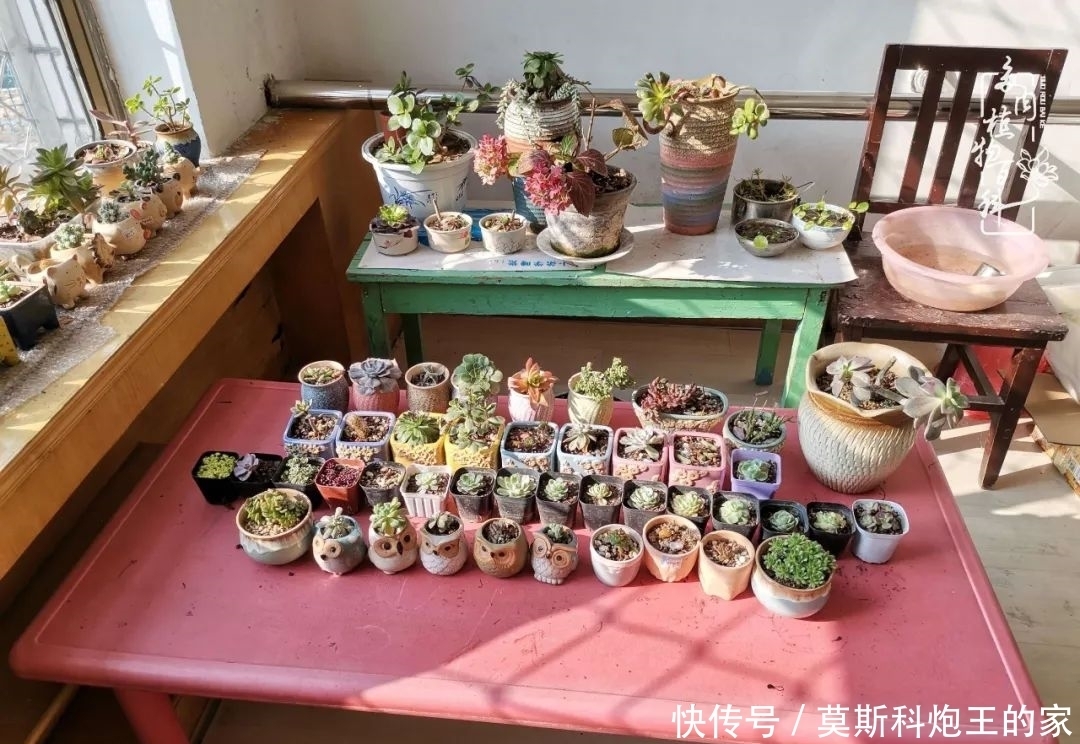 回顾令人难忘的2020年!2021,我定不负美肉不负众望!