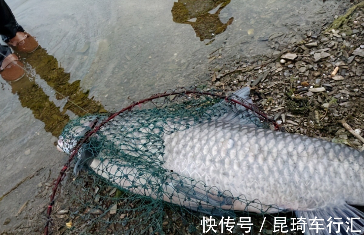 谁说钓鱼没有玄学，这几个邪门规律，只要是个钓鱼人，就都经历过