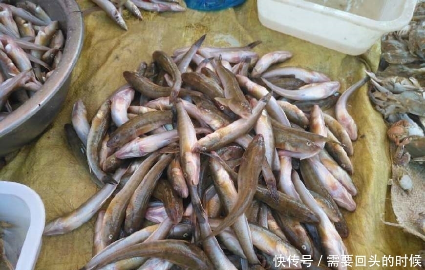 便宜|沿海农村大集上海鲜便宜到一块钱一斤,看到第五个,都不忍心吃了
