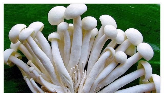  这道食材名副其实，简单4步轻松搞定，味道真鲜