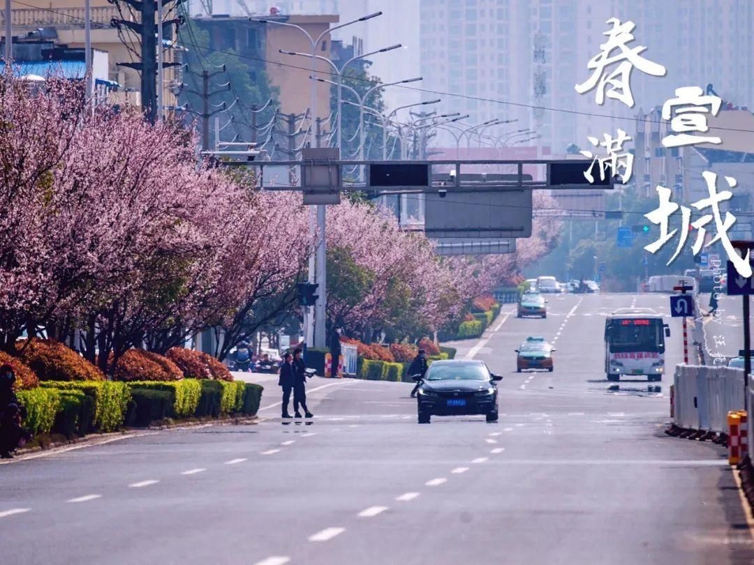 老年|宣城的春天都在这里了，请带着你的TA一定要来看看啊！