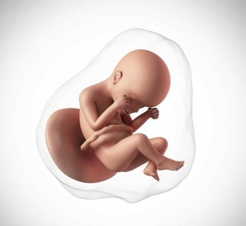 过氧化脂质|3种食物不利于胎儿大脑发育，孕妈们要尽量忌口，以免生出傻宝宝