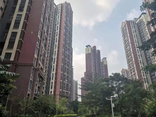 楼市|在大湾区，这是我看到的最为“混乱”的楼市