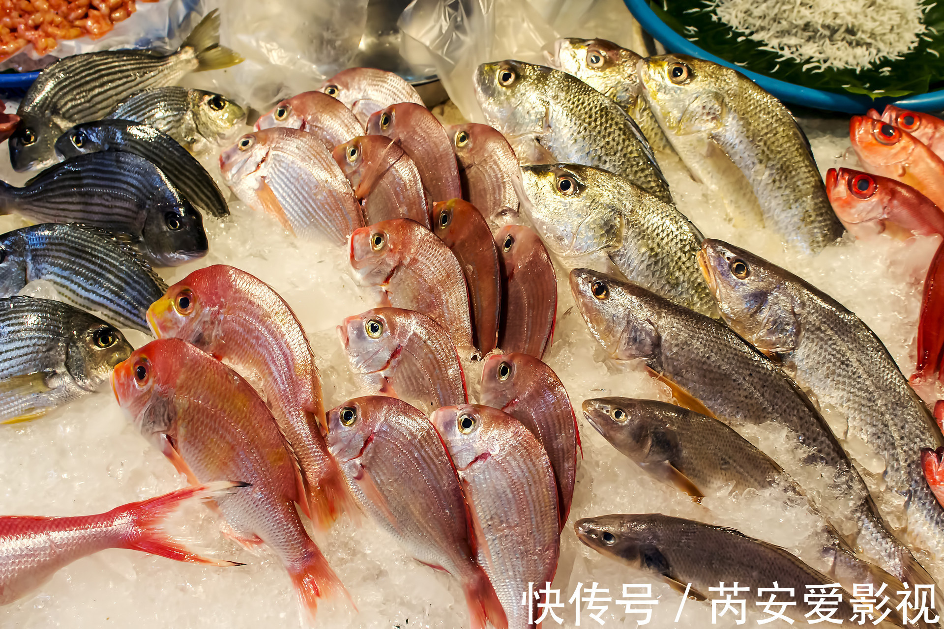 胎儿|孕期有4个营养重点,孕妇吃对了,胎儿发育得更好、大脑更聪明