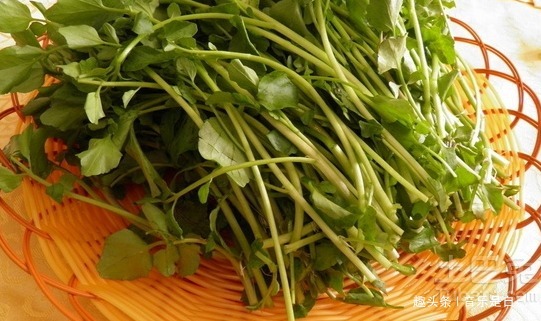 芹菜|女性不想早衰,坚持吃4种食物,改善肠胃,护肤美容,补充维生素