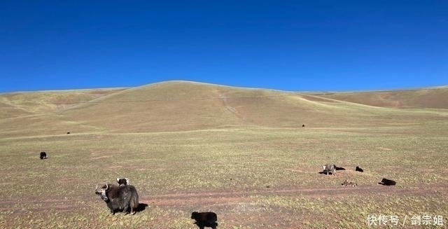 达坂|独闯新藏线D10，松西村到多玛乡，翻越公路最高点红土达坂！