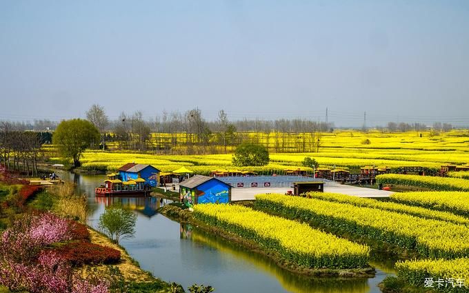 中年|春暖花开游江南-千垛景区水上森林之旅