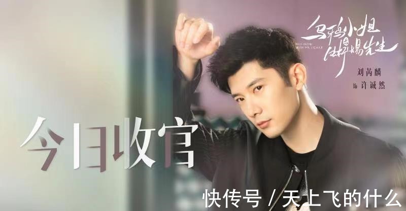 姜小寧|《烏鴉小姐與蜥蜴先生》圓滿收官 任嘉倫邢菲奇幻愛戀俘獲人心