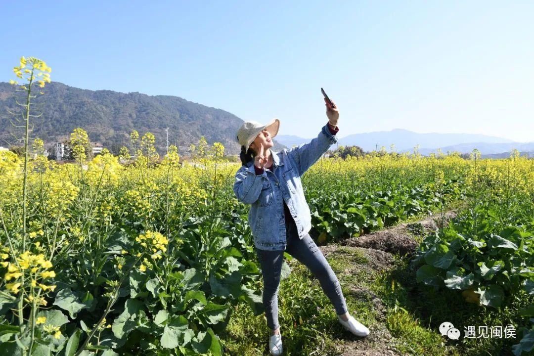 金色花海！福州油菜花开了！【区县头条】