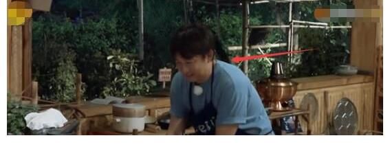 《向往4》黃磊廚藝翻車(chē)？面色凝重?zé)o人敢勸，維嘉行為盡顯高情商