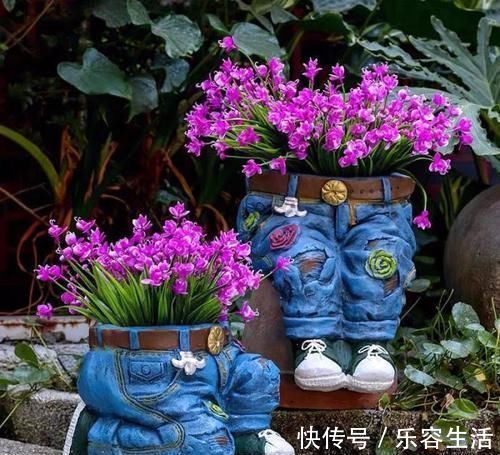 生长发育|适合男人养的四种花，大气又稳重，旺财又旺运，早看早知道！