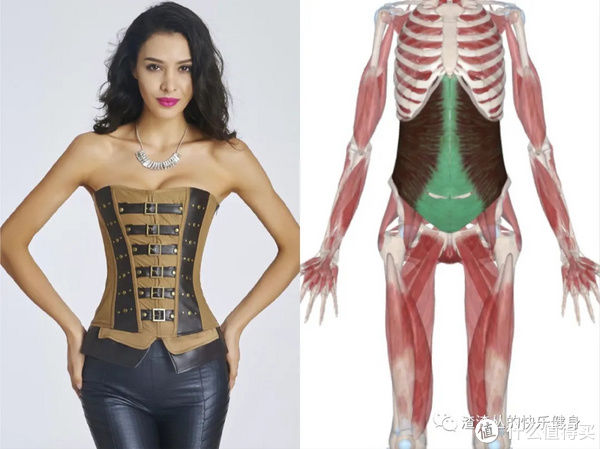 身材|实操干货｜被身材焦虑捧起来“全球销量上亿的网红束腰”会要你命！内含4个健康有效瘦腰动作