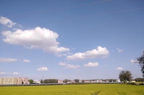 俎豆#考古重大发现,终于探明中华文明的历史源头与文化渊源